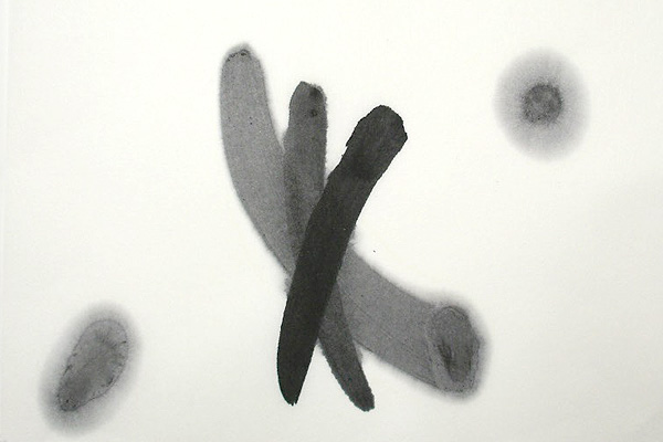 水墨画用紙 松渕箋(しょうえんせん) F5 (35×27cm 100枚入)